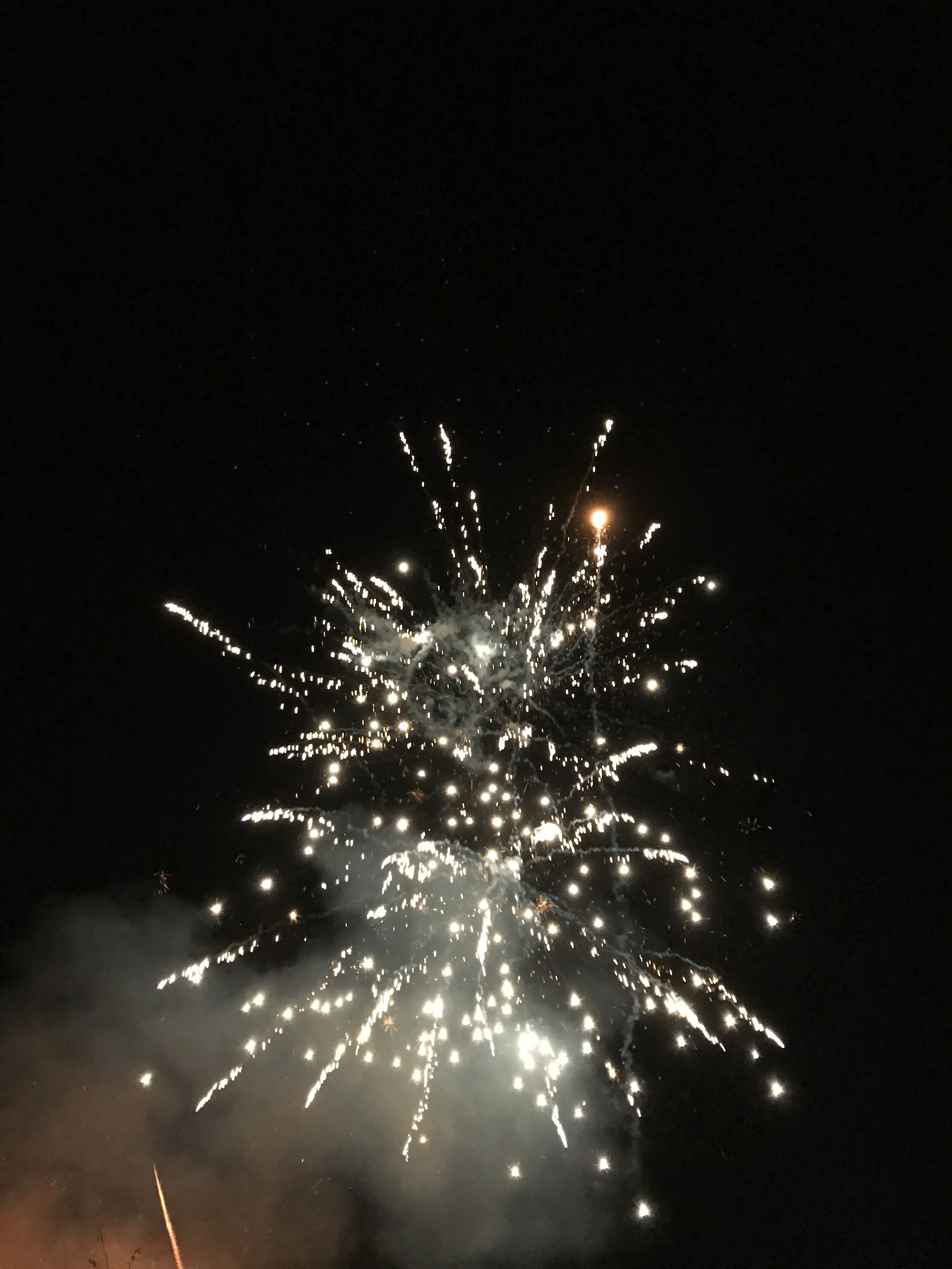 Wicked Wednesday – I want to go to the fireworks!