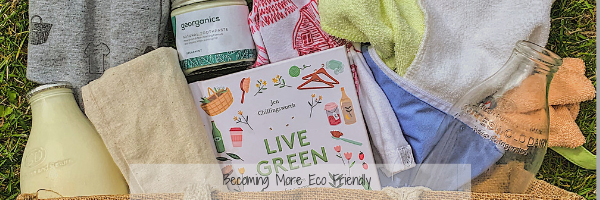 8 Small Changes To Save The Planet | Becoming More Eco- Friendly
