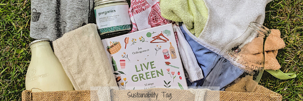 My Sustainability Aims for 2020 Blogger Tag